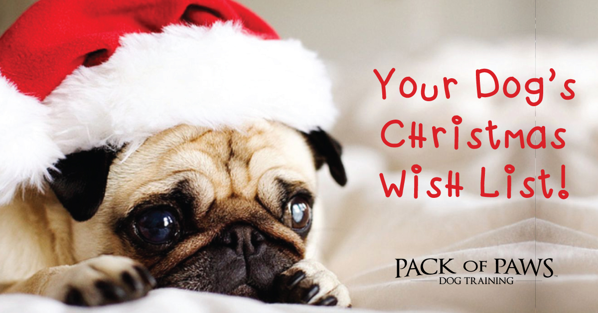 Your Dog's Christmas Wish List • Pack 